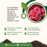 biochar-biocarbon-biocar
