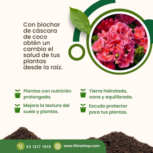 biochar-biocarbon-biocar