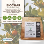 biochar-biocarbon-biocar