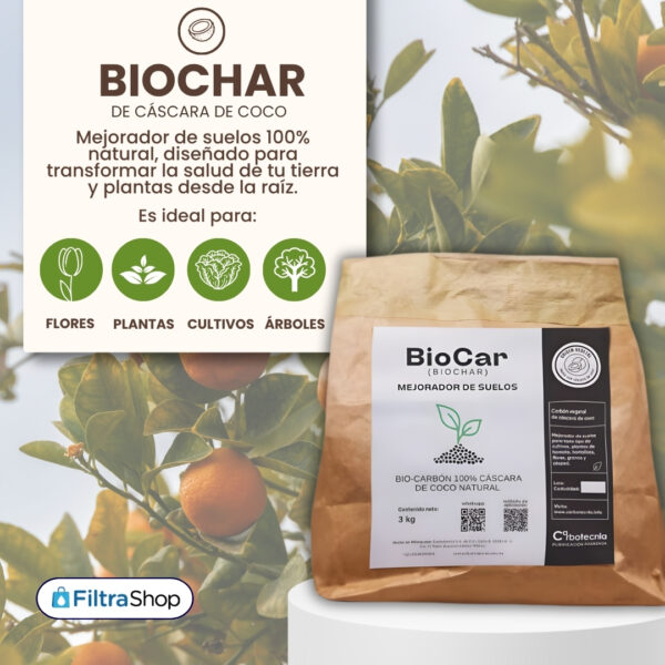 biochar-biocarbon-biocar